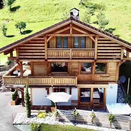 Androsace Appartement Dans Chalet Bois Avec Jacuzzi Privatif Terrasse Et Vue Montagne Les Villards-sur-Thônes Extérieur photo